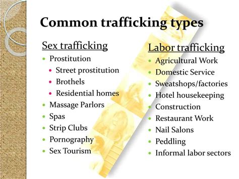 What Are The Different Types Of Illegal Trafficking