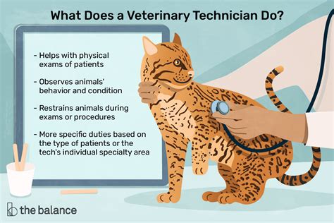 What Are The Different Types Of Veterinary Technician Jobs