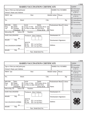 What Are The Rabies Vaccination Amp Certificate Requirements