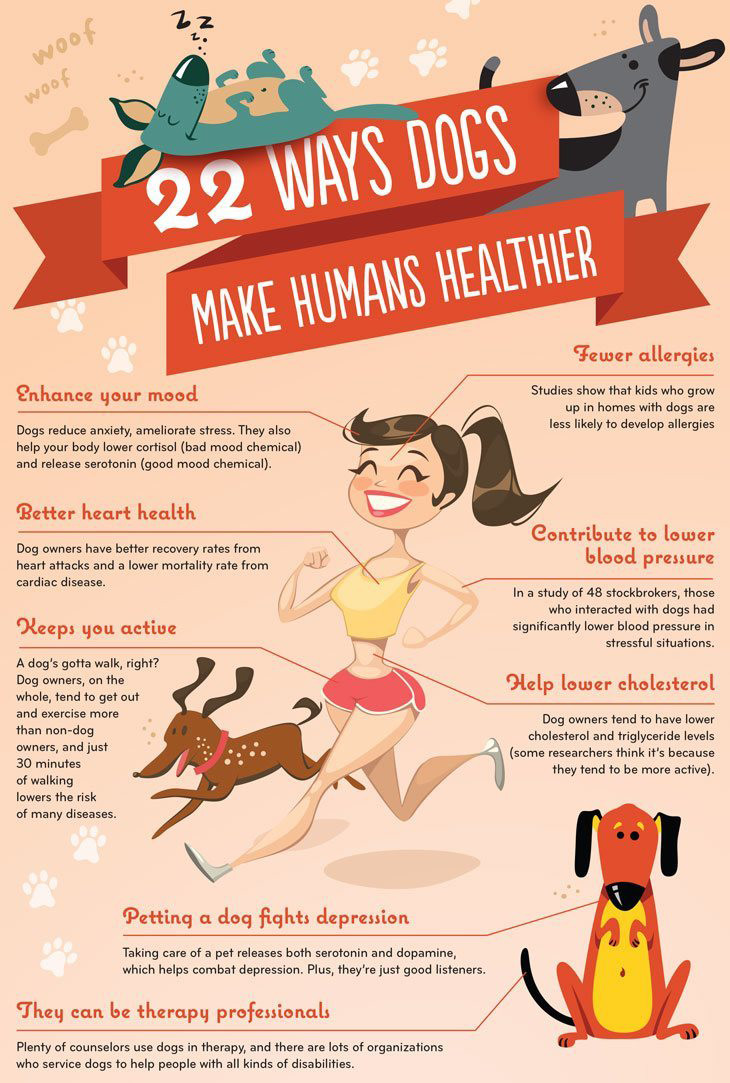 What Are Ways Dogs Help Humans