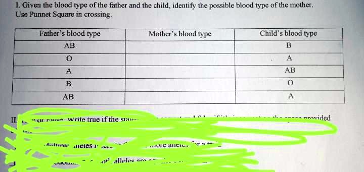 What Blood Type S Can A Child Born To A Mother With B Blood Type And