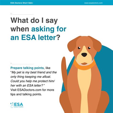 What Do I Say When Asking For An Esa Letter Esa Doctors