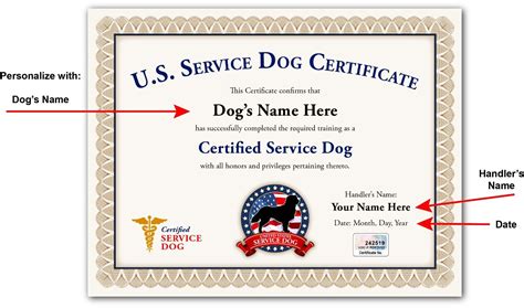 What Does A Service Dog Certificate Look Like Service Dogs Service