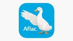 What Does Aflac Cover Tips To Take Care Of Your Money Every Day