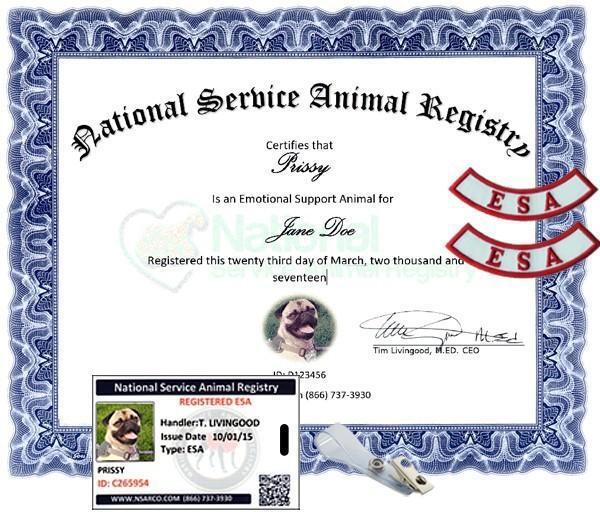 UNF Emotional Support Animal Paperwork