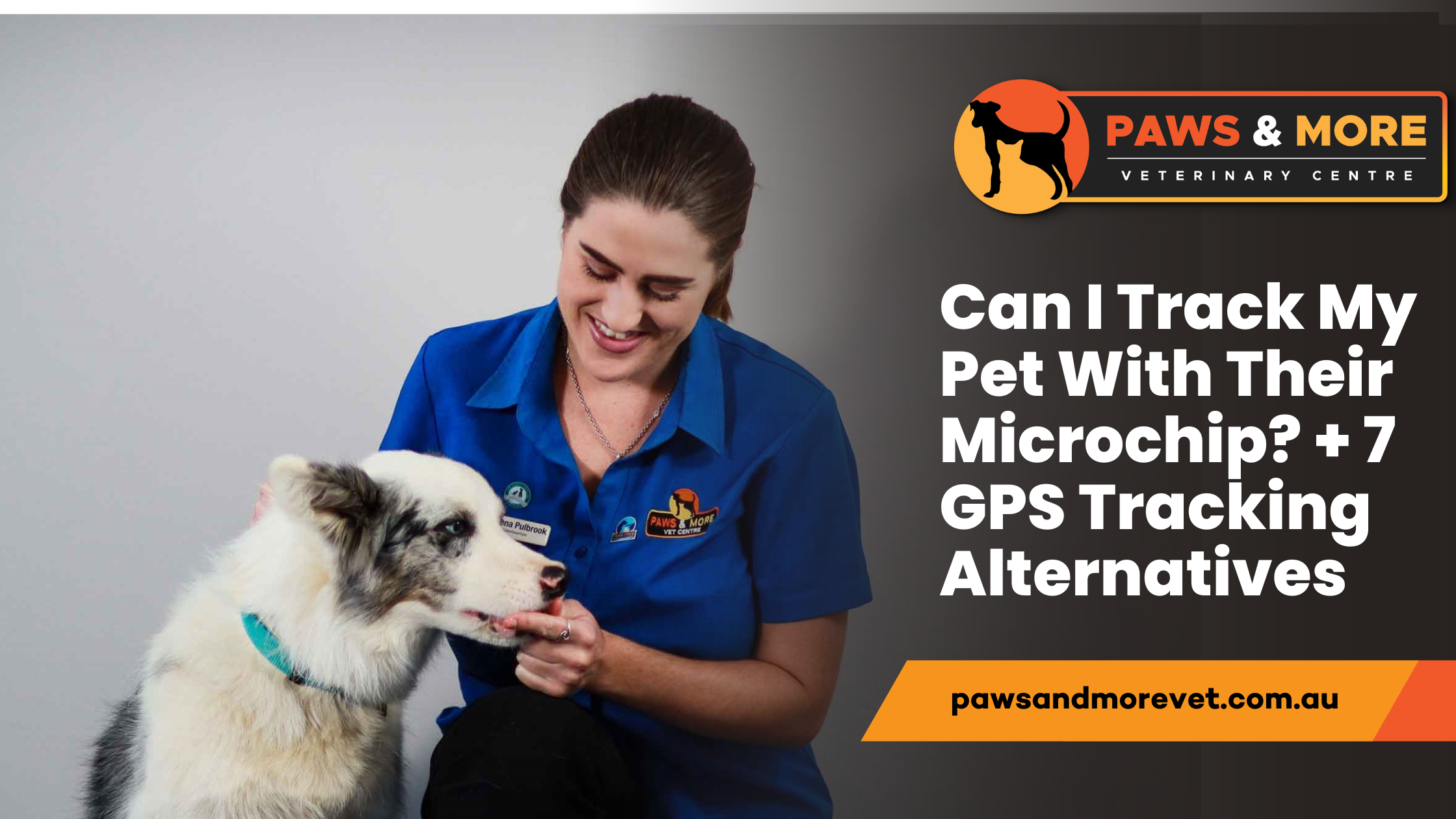 What Is A Pet Microchip The 411 On Microchipping Dogs And Cats Bechewy