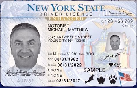 What Is An Enhanced Driver S License Mean At Erin Olson Blog