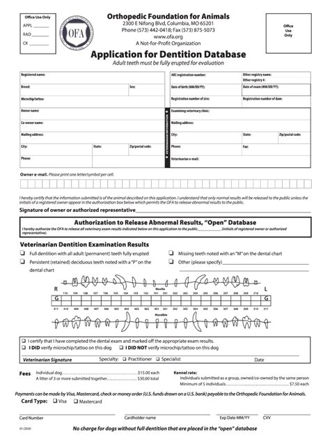 5 OFA Paperwork Tips