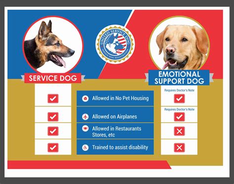 What Is The Difference Between A Service Dog And An Emotional Support Dog