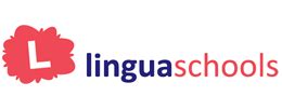 What Is The Tie And How To Get It Linguaschools Com Blog