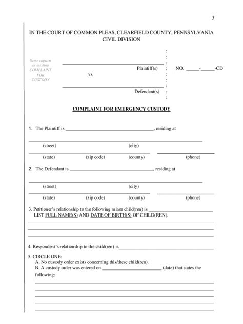 Emergency Custody Paperwork Filing Requirements