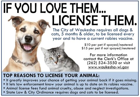 Pet License Paperwork Requirements