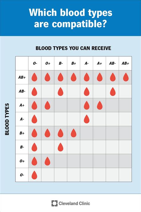 Blood Type Paperwork Documents