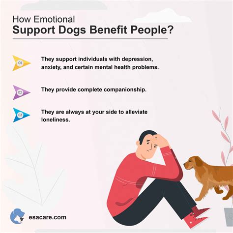 What Should You Know About Dogs For Emotional Support Esa Care