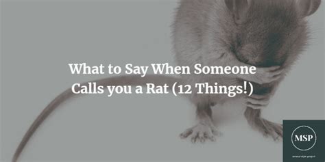 What To Say When Someone Calls You A Rat 12 Things Mental Style