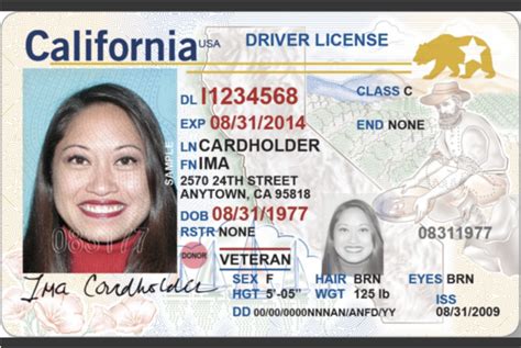 What You Need To Know About Real Ids