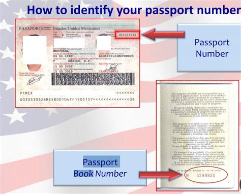 Where Is Passport Book Number Located