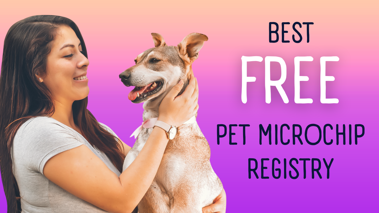 Which Pet Microchip Registry Is The Best First Street Pets