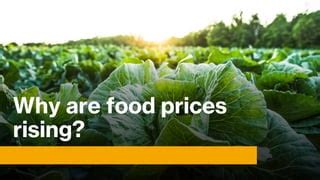 Why Are Food Prices Rising Ppt