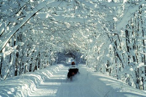 Why Is Snowmobiling In Michigan The Most Popular Winter Activity Travel Tips