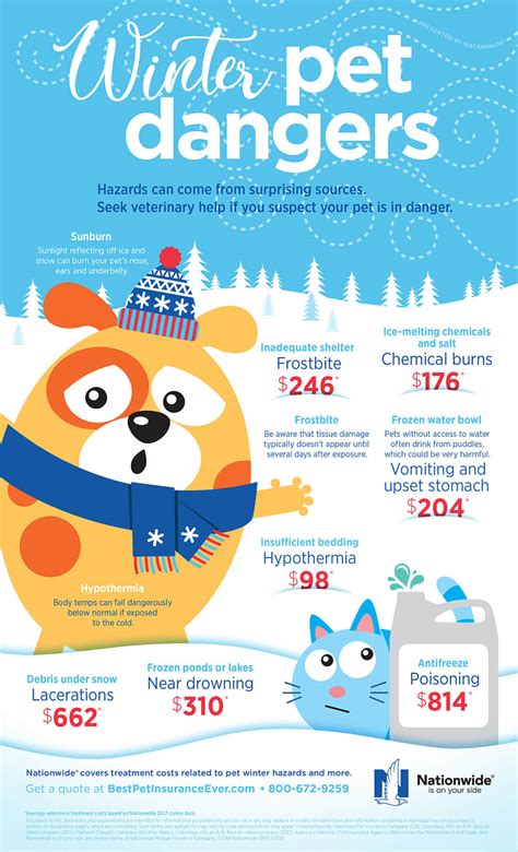 Winter Pet Safety Tips Infographic1 Caw Blog