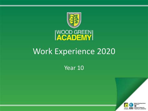 Work Experience 2020 Year Ppt Download