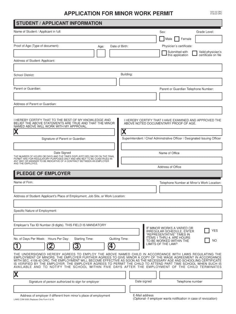 Work Permit Application Form Fill Out Sign Online Dochub