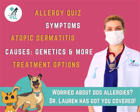 Worried About Dog Allergies Read This Vsl Veterinary Clinic